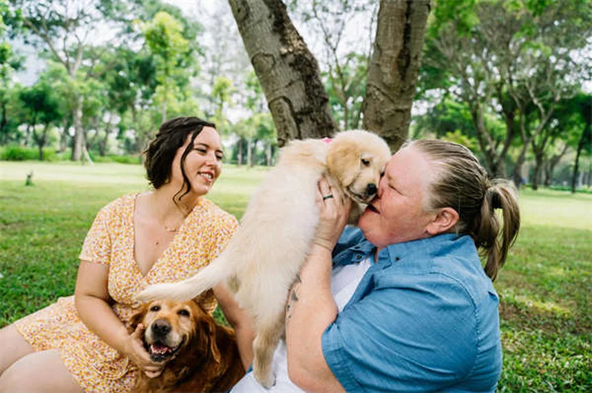 Antibióticos para pets: quando usar e os perigos do uso errado
