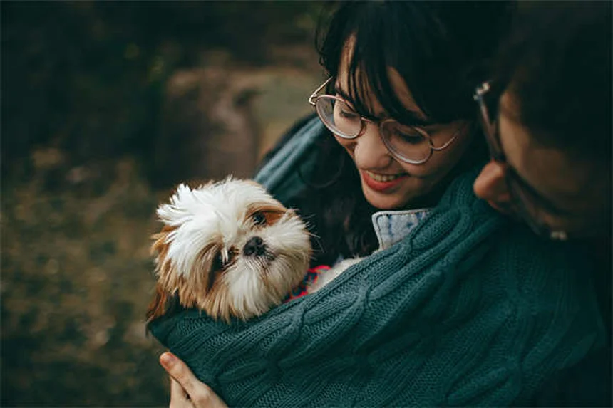 Metoclopramida para pets: como funciona e quando usar